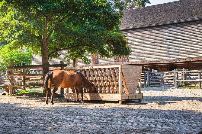 Cabbagetown In Colour: A Walking Tour of Toronto - Discovering Toronto Necropolis: The City of the Dead