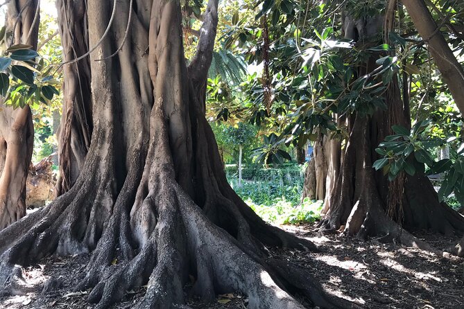 Cabecera Park Private Segway Tour - Practical and Safe Segway Riding Experience