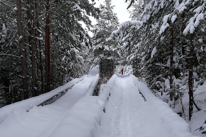 Cable Car Olympic Tour With Museum - A Closer Look at the Mountain Environment