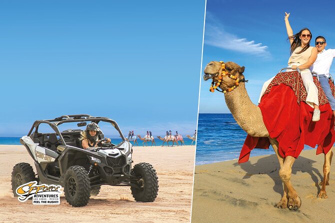 Cabo Adventure: Can-Am X3 Ride & Camel Beach Tou - Key Points