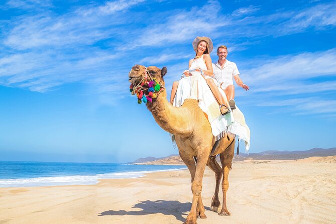 Cabo Adventure: Can-Am X3 Ride & Camel Beach Tou - Who Should Consider This Tour