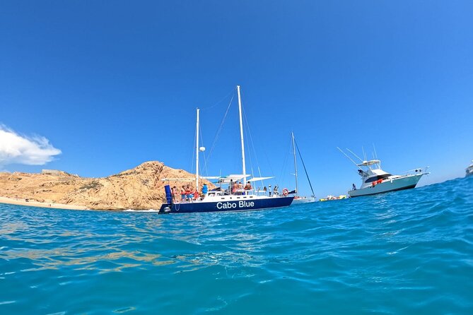 Cabo Blue Snorkeling Cruise, Open Bar and Lunch in Cabo San Lucas - Key Points