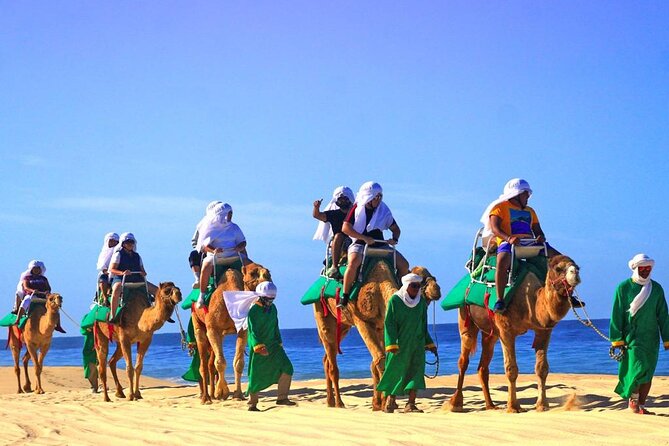 Cabo Camel and Safari Ride - Key Points
