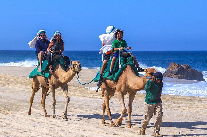 Cabo Camel Ride Experience - Considerations and Limitations of the Tour