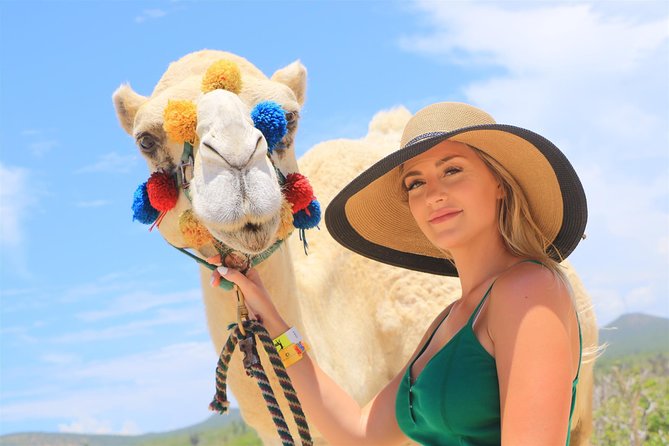 Cabo Camel Ride, Mexican Buffet and Tequila Tasting - Practical Details and Tips