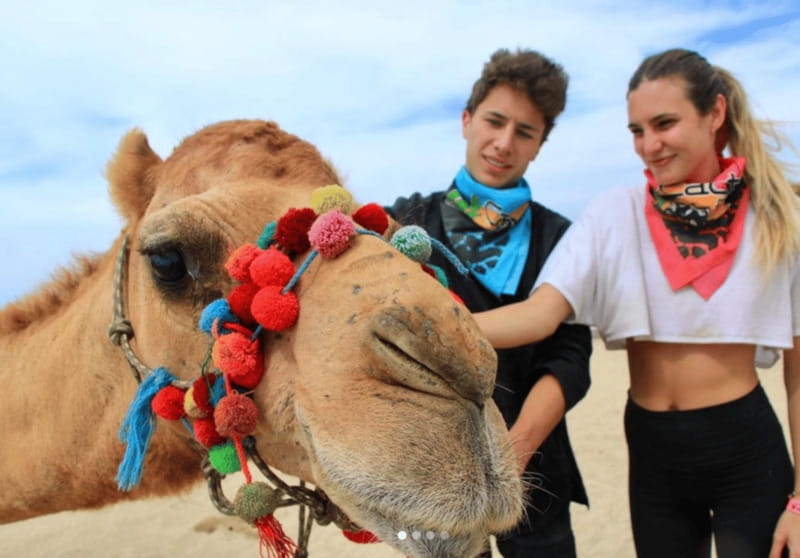 Cabo: Camel Safari Adventure with Tacos - Tequila Tasting and Relaxation Options