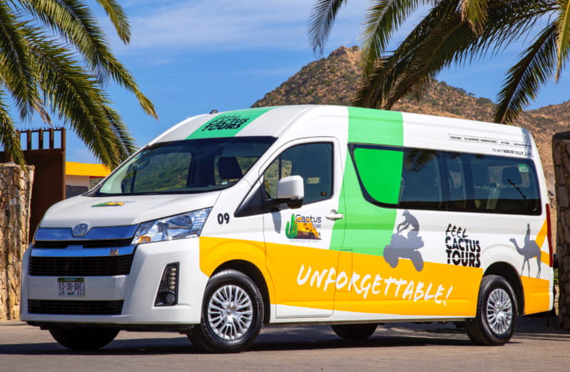 Cabo: Camel Safari Adventure with Tacos - Frequently Asked Questions