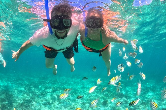 Cabo Catamaran Cruise  Arch, Snorkeling, Open Bar & Snacks - Snorkeling in Crystal-Clear Waters