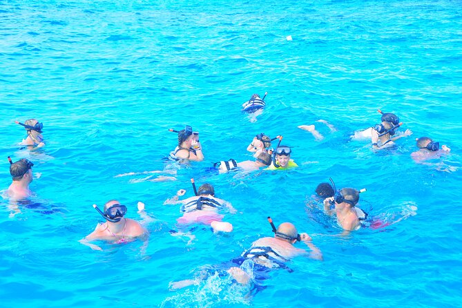 Cabo Catamaran Cruise  Arch, Snorkeling, Open Bar & Snacks - Practical Tips for Booking and Participation