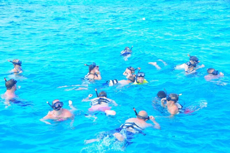 Cabo Catamaran Cruise  Arch, Snorkeling, Open Bar & Snacks - The Experience Provider: aquaholic boat trips srl