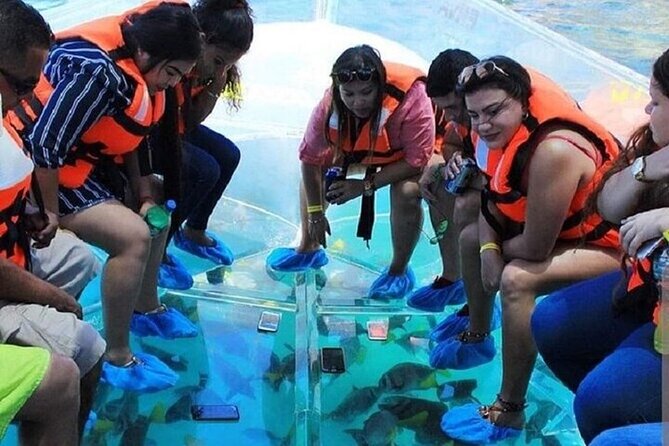 Cabo Clearboat Tour to the Arch with Transportation - Weather, Cancellations, and What To Keep in Mind