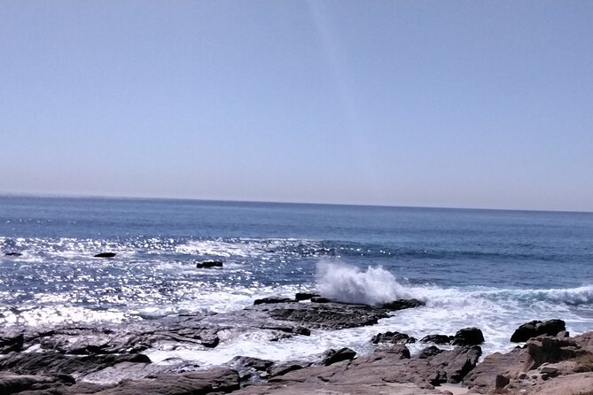 Cabo combo tour - Cultural Insights at Museo de Historia Natural