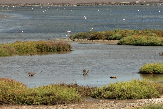 Cabo de Gata Natural Park from Roquetas, Aguadulce & Almeria - Convenient Pickup from Multiple Locations in the Area