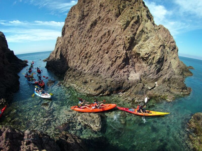 Cabo de Gata: Natural Park Kayaking and Snorkel Excursion - Scenic Views and Wildlife Encounters