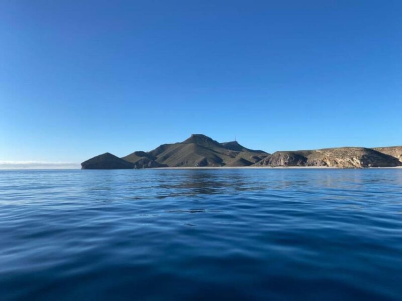 Cabo de Gata: Yacht Tour to the 5 Best Beaches - Value for Money and Overall Impression