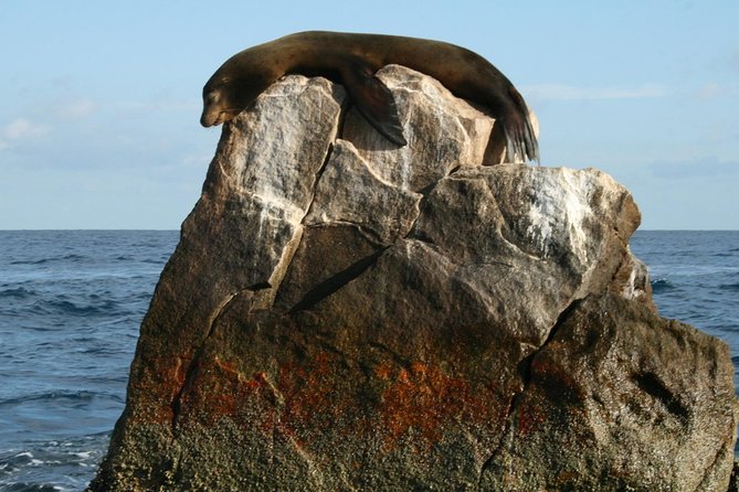 Cabo Encounter with Optional Clear Boat and Lunch - Practical Tips for the Tour