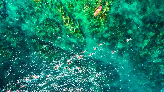 Cabo Escape Breakfast Snorkel Cruise - Review Reflections and Tips for Future Guests