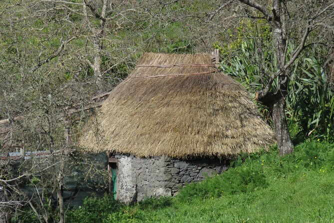 Cabo Girão & mountains 4x4 tour - Exploring Câmara de Lobos, Madeira’s Fishing Village