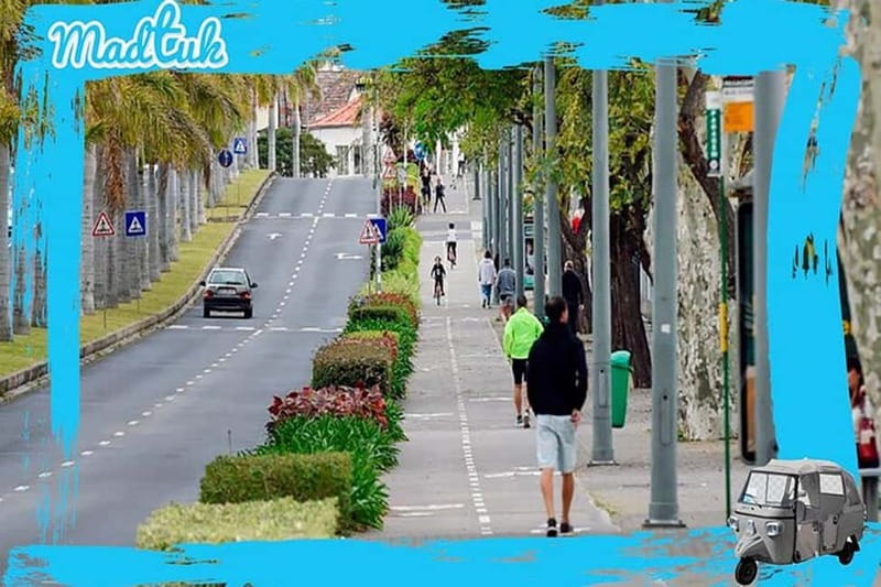 Cabo-Girão Skywalk + Câmara de Lobos Tuk-Tuk Tour by MadTuk - Scenic Drive and Photo Stops Along the Coast