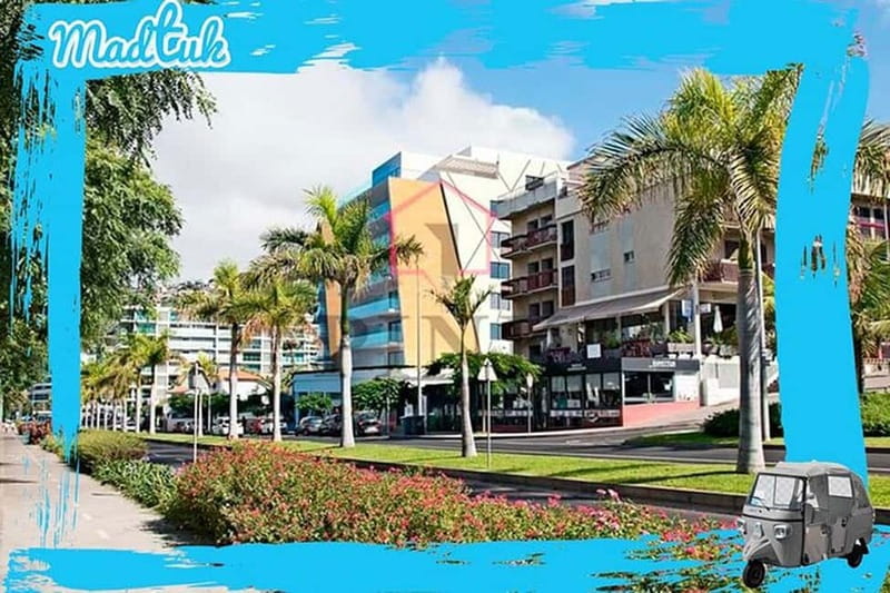 Cabo-Girão Skywalk + Câmara de Lobos Tuk-Tuk Tour by MadTuk - Who Will Appreciate This Tour Most?