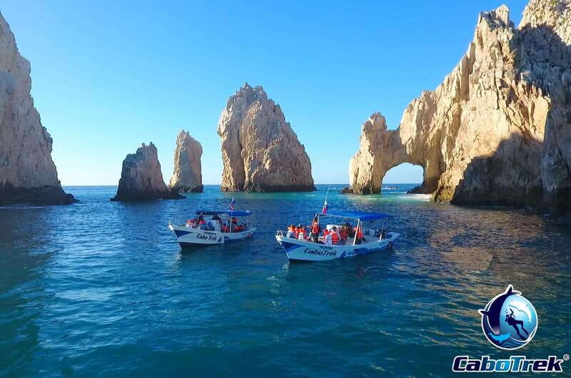 Cabo Ocean SAFARI - Snorkeling with Dolphins, Turtles, and Sea Lions