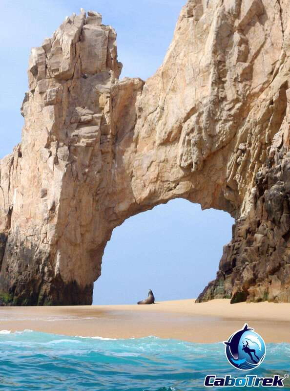 Cabo Ocean SAFARI - The Experience of a Small Group Tour