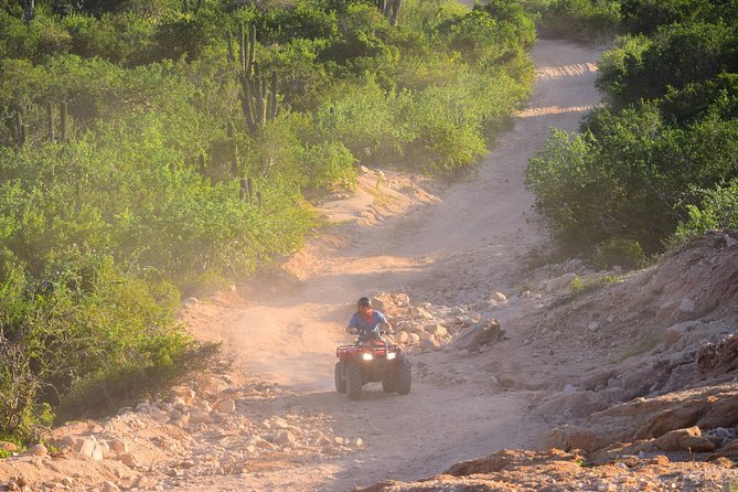 Cabo Original Real Baja 1000 Tour (Single ATV) - Logistics: Meeting Point, Timing, and Transportation