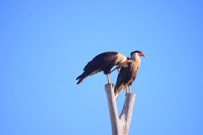 Cabo Original Real Baja 1000 Tour (Single ATV) - Whats Included and Whats Extra