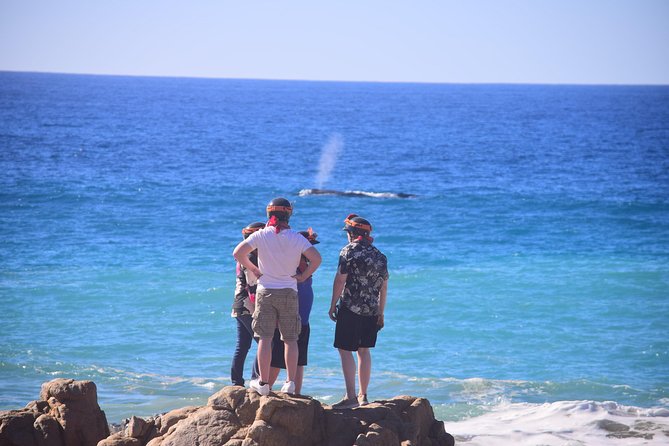 Cabo Original Real Baja 1000 Tour (Single ATV) - Physical Requirements and Suitability