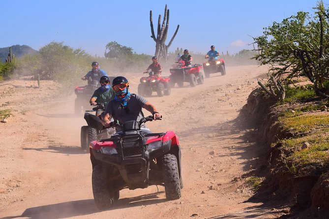 Cabo Original Real Baja 1000 Tour (Single ATV) - Comparing This Tour to Other Baja Off-Road Experiences