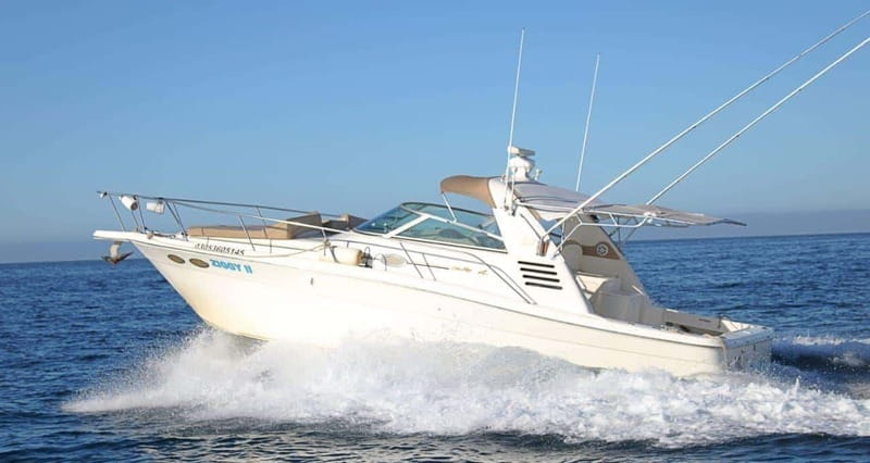 Cabo Private 36ft Yacht  Scenic Cruise & Relaxation - Logistics and Group Size Advantages