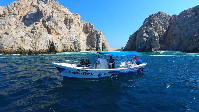 Cabo San Lucas: 2.5-Hour Whale Watching Tour - Marine Biologist Guide: Knowledge and Enthusiasm