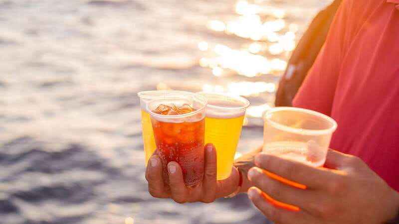 Cabo San Lucas: 2 Hour Sunset Cruise with Food and Wine - Key Points