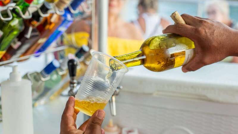 Cabo San Lucas: 2 Hour Sunset Cruise with Food and Wine - Savor Delicious Appetizers and Premium Wines