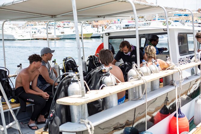 Cabo San Lucas 2 Tank Scuba Diving - Guides and Their Expertise