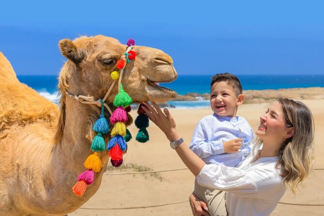 Cabo San Lucas 3-in-1 Combo: Sky Bike, Camels or Horses, and ATV - Starting Point and Transportation from Los Cabos