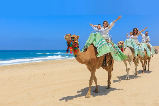 Cabo San Lucas 3-in-1 Combo: Sky Bike, Camels or Horses, and ATV - Tasting Local Flavors with a Complimentary Tequila Session