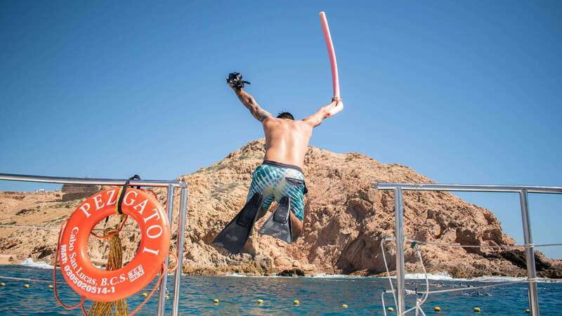 Cabo San Lucas: 4-Hour Snorkeling Cruise with Open Bar - Cabo San Lucas Snorkeling and Scenic Cruise Begins with Convenient Pickup Options