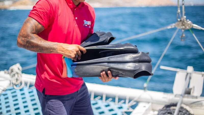 Cabo San Lucas: 4-Hour Snorkeling Cruise with Open Bar - Enjoying a Fresh and Casual Lunch on the Return Voyage