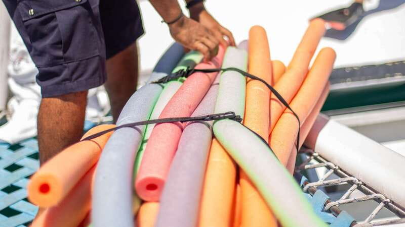 Cabo San Lucas: 4-Hour Snorkeling Cruise with Open Bar - Practical Tips: What to Bring and Expectations