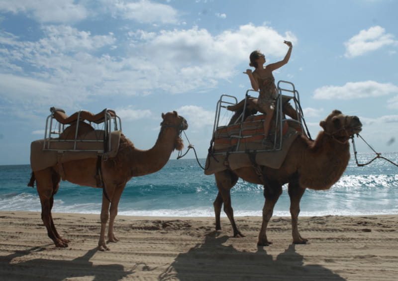 Cabo San Lucas: Amazing Camel Adventure on the Beach - Scenic Camel Ride Along the Pacific Coastline