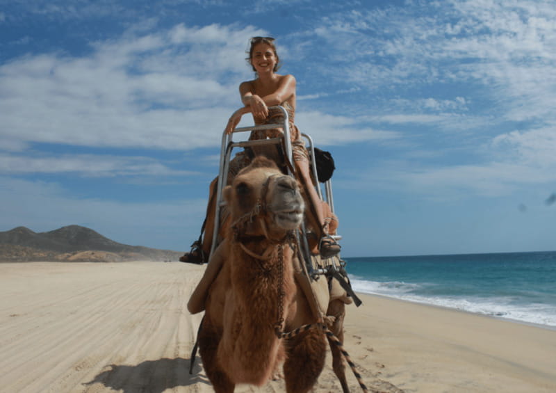 Cabo San Lucas: Amazing Camel Adventure on the Beach - Authentic Damiana Liquor Tasting at the End of the Ride