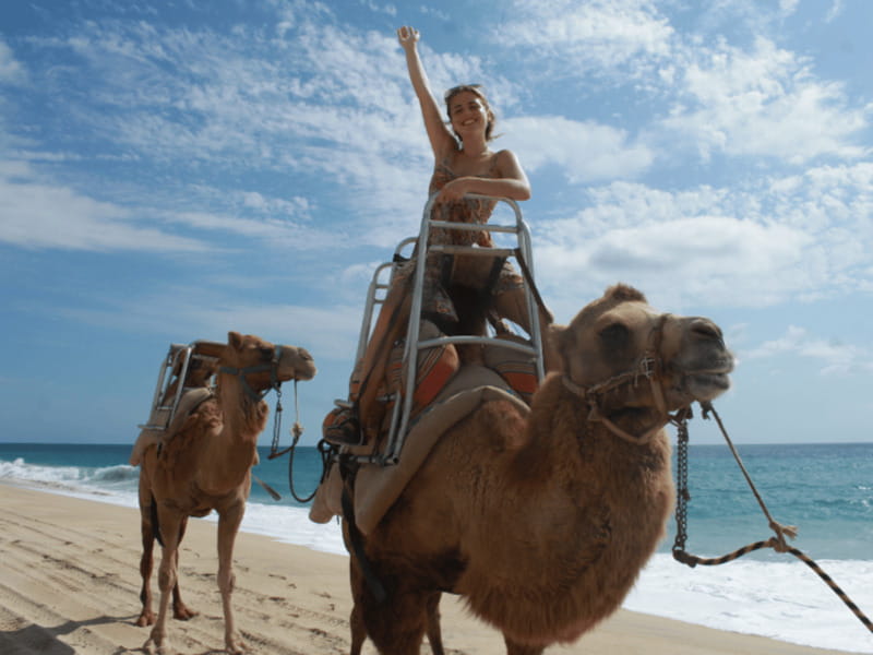 Cabo San Lucas: Amazing Camel Adventure on the Beach - What Sets This Tour Apart in Cabo