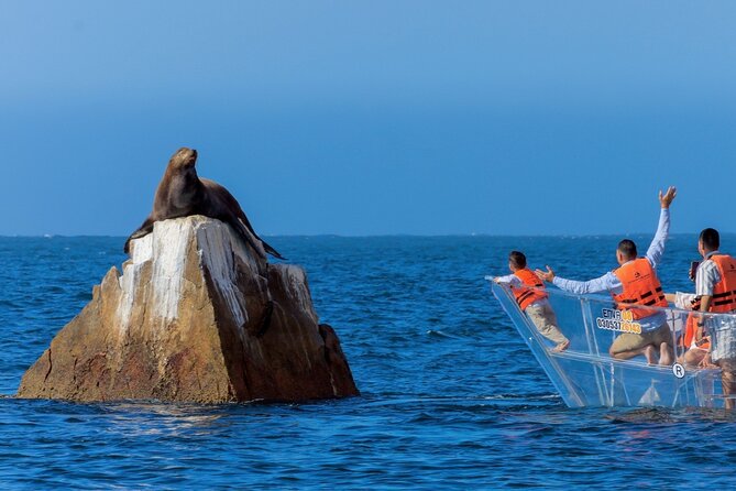Cabo San Lucas Arc Transparent Boat Tour - The Experience Begins at the Marina in Cabo San Lucas