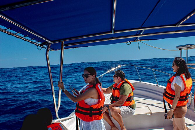 Cabo San Lucas Arch Private Boat Tour - Cabo San Lucas Arch Private Boat Tour: A Personalized Coastal Adventure