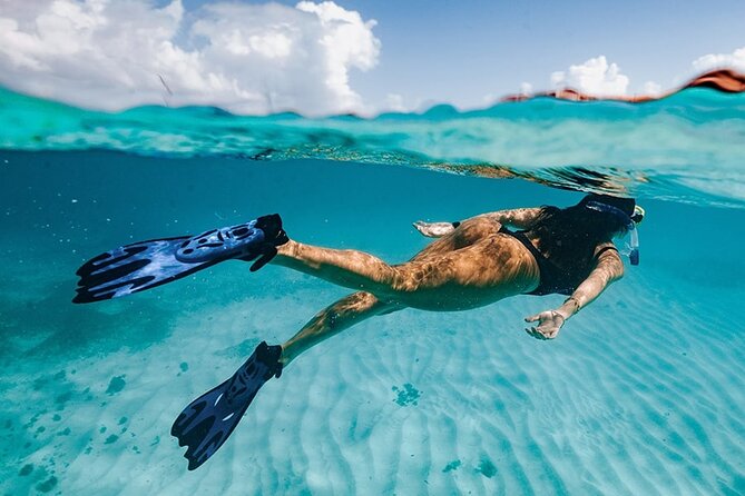 Cabo San Lucas Arch Tour and we go down to Playa del Amor - The Experience and Guide Interaction