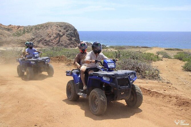 Cabo San Lucas ATV Adventure with Tequila Tasting and Quesadilla - Taste of Baja: Handmade Quesadillas and Agua Fresca