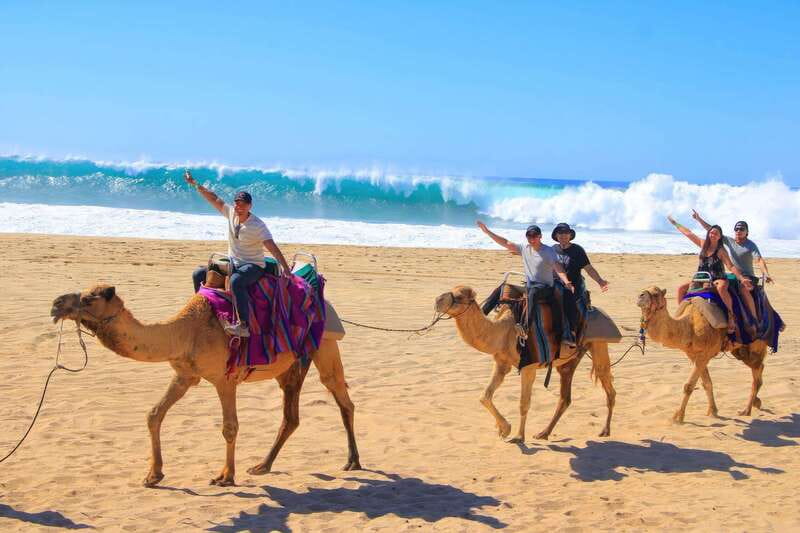 Cabo San Lucas: ATV/Camel/Horse Combo Tour - Why This Tour Is a Practical Choice