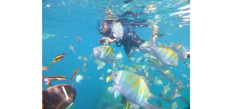 Cabo San Lucas: Beach Hopper Small-Group Snorkeling Tour - Exploring the Snorkeling Spots: Lands End and Chileno Bay