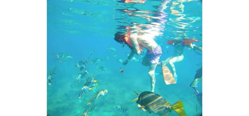 Cabo San Lucas: Beach Hopper Small-Group Snorkeling Tour - Why Choose This Tour: Strengths and Limitations